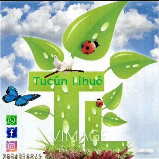 Tucún Lihué
