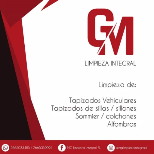 GM limpieza integral de tapizados