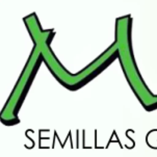 Mia Semillas Garrapiñadas