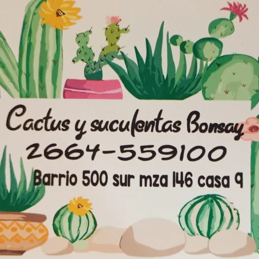 Cactus y Suculentas Bonsay