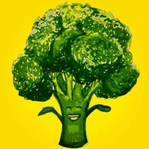 Mr. Brócoli - Viandas Saludables