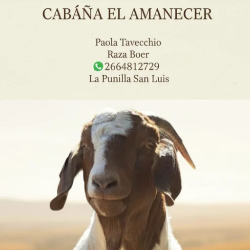 Cabaña el amanecer