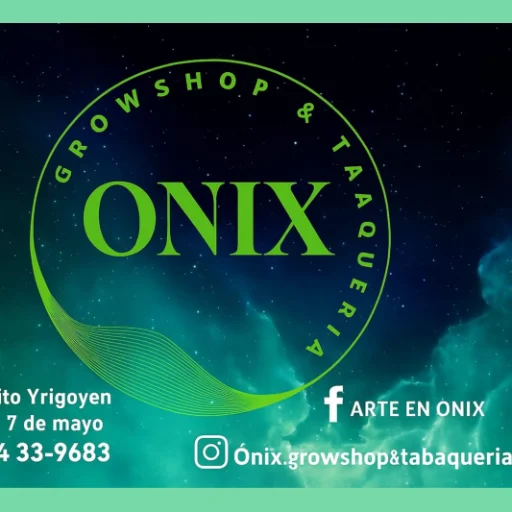 Arte en onix