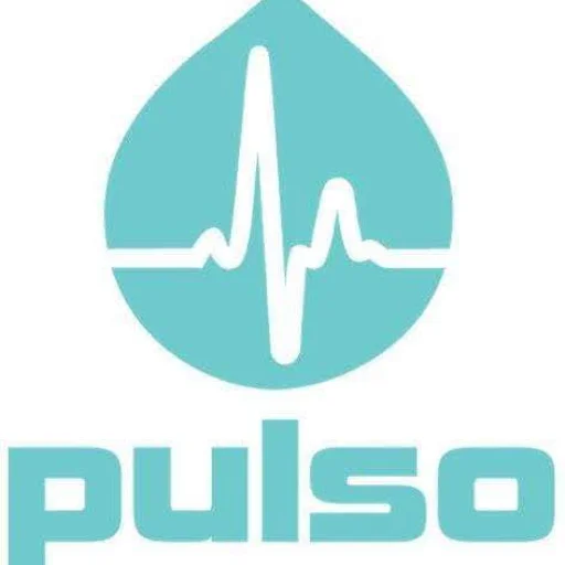Pulso