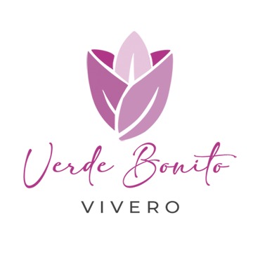 Vivero Verde Bonito