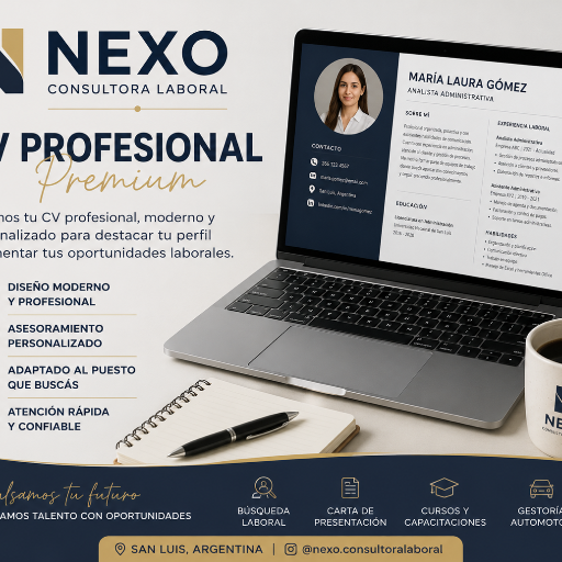 CV Profesional Premium