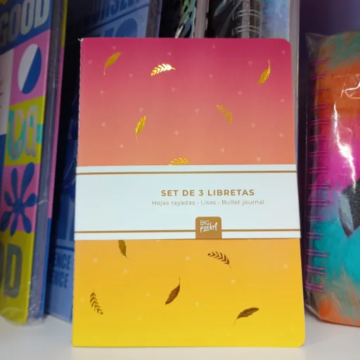 Set de Libretas x 3 unidades hojas lisas, rayadas y bullet journal PPR
