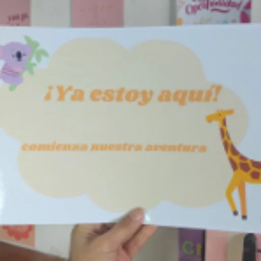 Libro del bebé