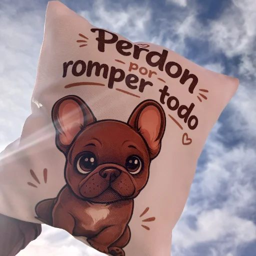 Almohadones personalizados