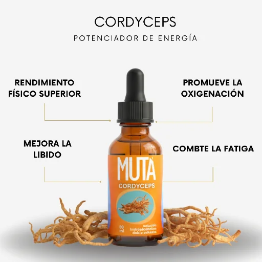 Extracto de Cordyceps Militaris