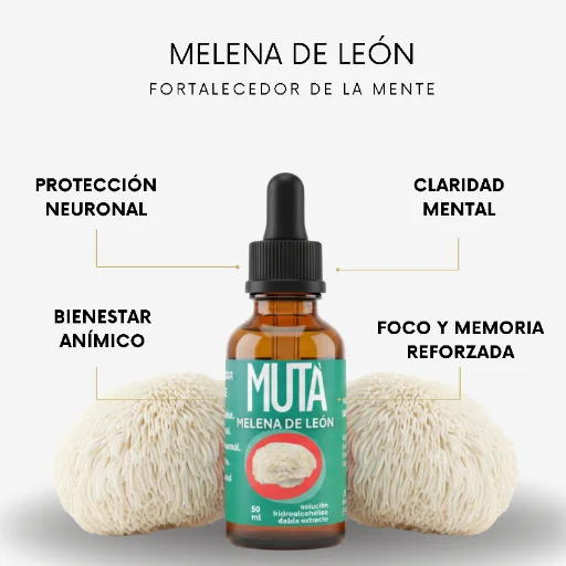 Extracto de Melena de león