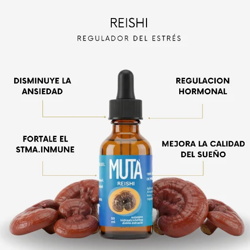 Extracto de Reishi