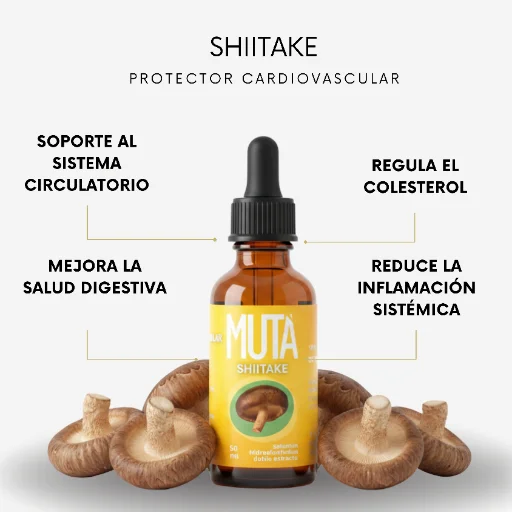 Extracto de Shiitake