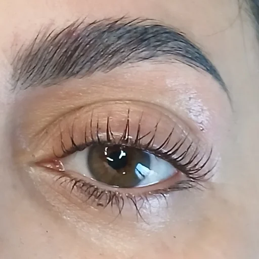 Alisado o laminado de cejas