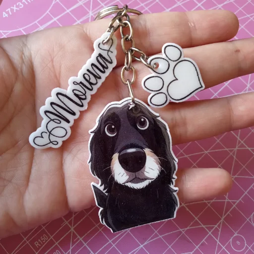 Llaveros mascotas personalizados