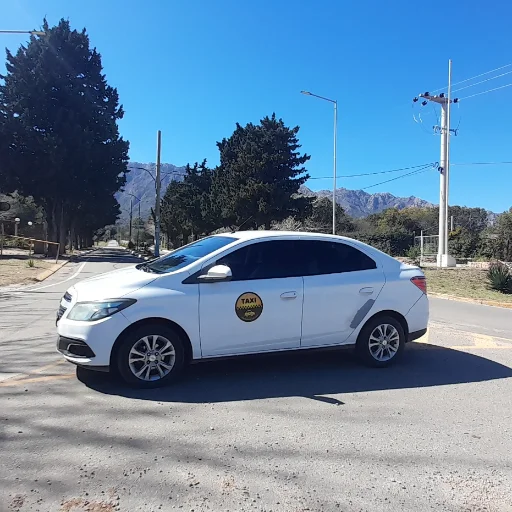 Servicio de Taxi y Traslados Oficiales - Sergio Taxi (Costa de Los Comechingones y Valle Del Conlara)