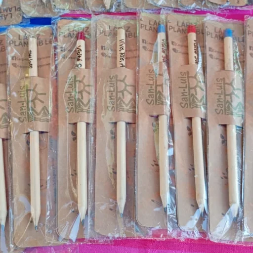 Lápices Plantables