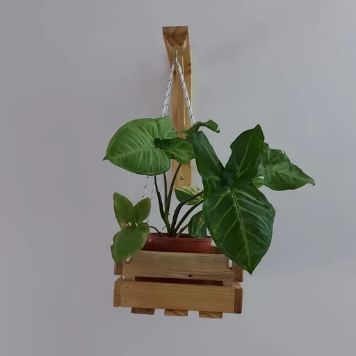 Macetero Colgante con Cajoncito - imagen 4