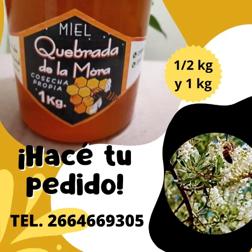 Miel pura