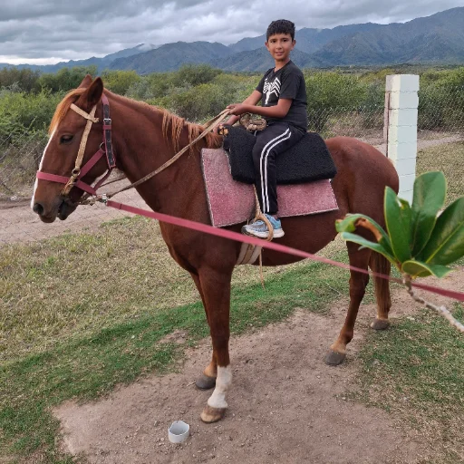 Promo Caballitos - imagen 6