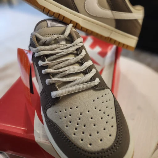 Nike Dunk urbana - imagen 3
