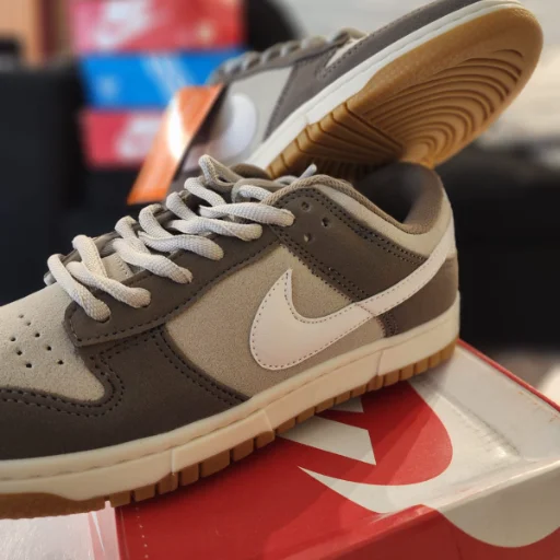 Nike Dunk urbana - imagen 2