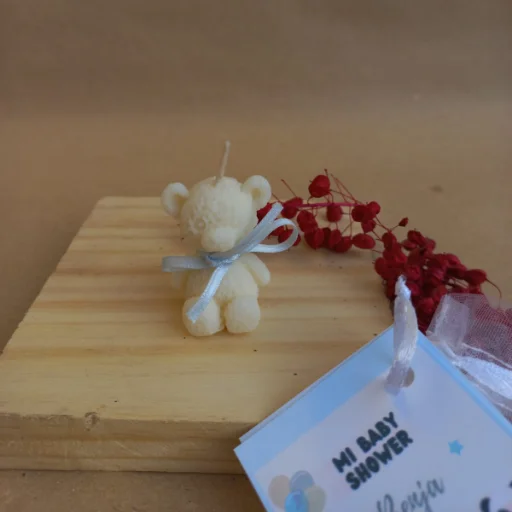 Souvenir Oso - imagen 12