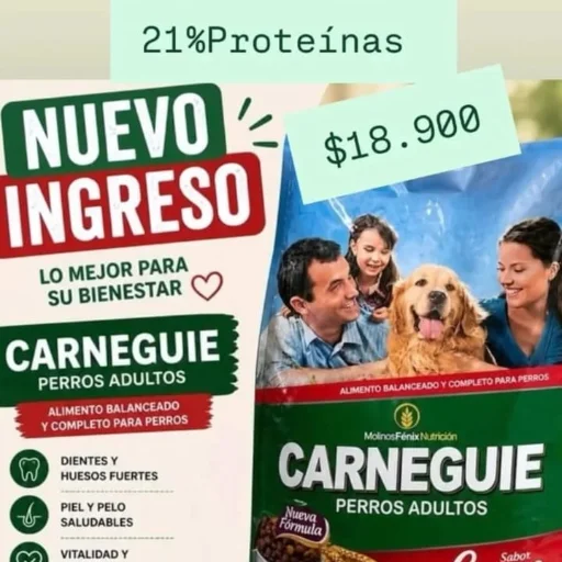 Alimento Balanceado
