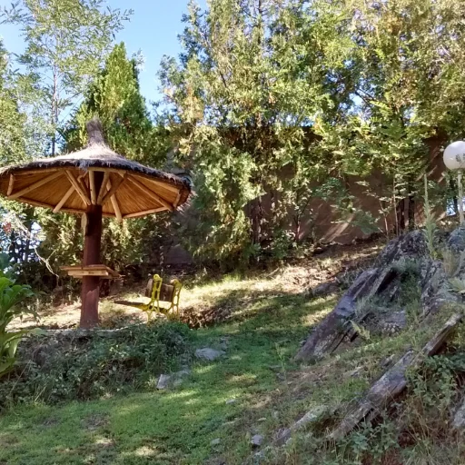 cuñas del trapiche - imagen 13