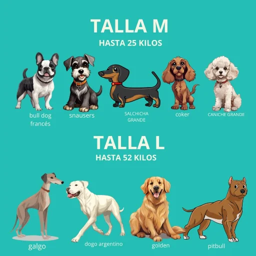 Colchon para mascota XL Azul