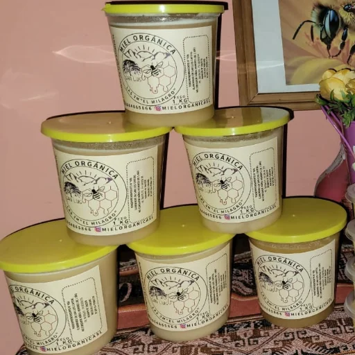 MIEL PURA 1KG