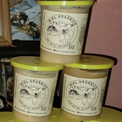 MIEL PURA 500GR