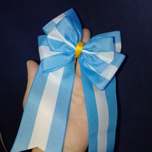 Moño Argentina - imagen 3