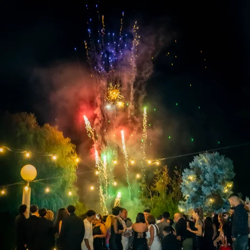 Fuegos Artificiales Friendly Fire