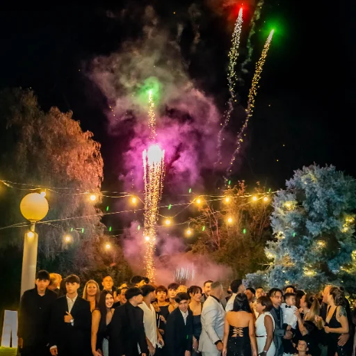 Fuegos Artificiales Friendly Fire - imagen 4