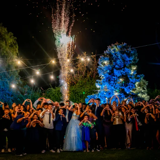 Fuegos Artificiales Friendly Fire