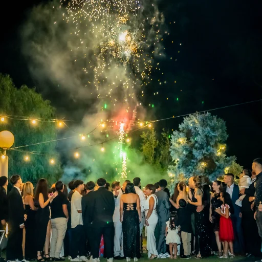 Fuegos Artificiales Friendly Fire - imagen 5