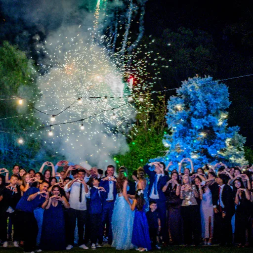 Fuegos Artificiales Friendly Fire - imagen 7