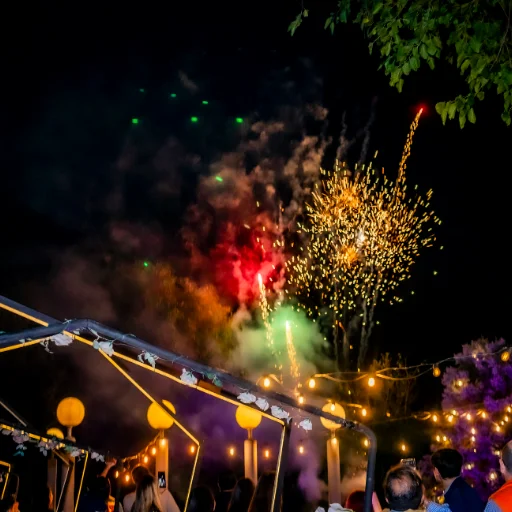 Fuegos Artificiales Friendly Fire