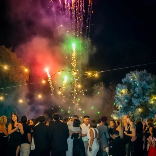 Fuegos Artificiales Friendly Fire - imagen 6