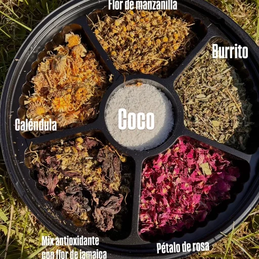 Bandejas materas