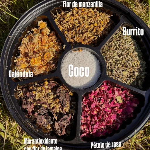 Bandejas materas