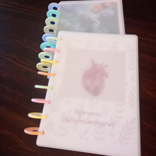 Agendas A5 sistema de discos