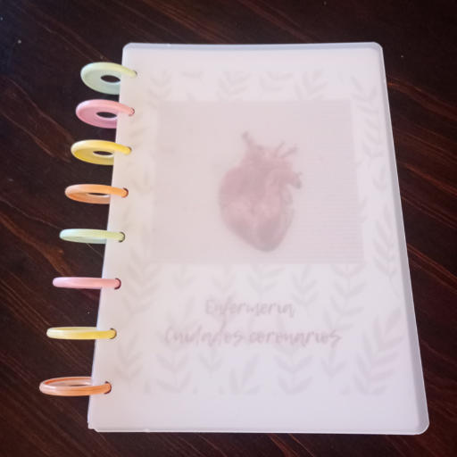 Agendas A5 sistema de discos