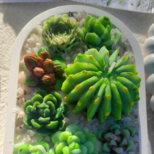 Jardin de velas