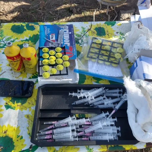 servicios y asesoramiento Ganadero - imagen 5