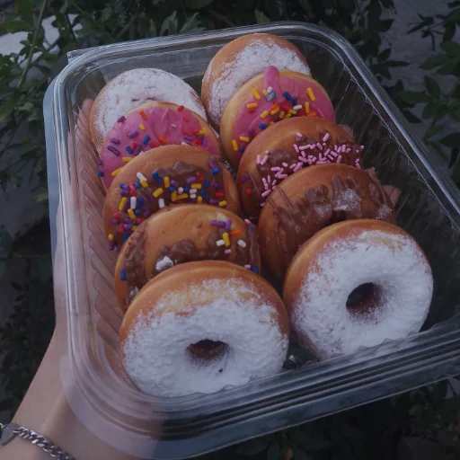 Bandeja x12 Minidonas