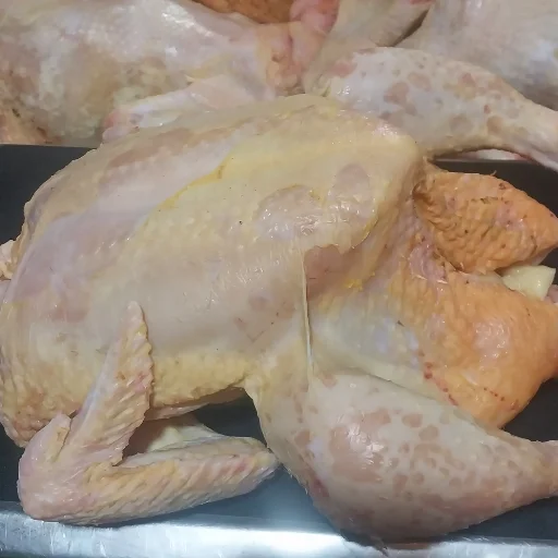 Pollos fresco