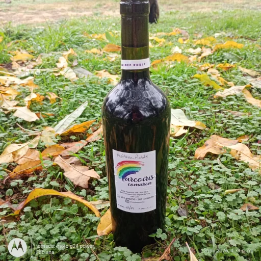 Vino Malbec MB Blend