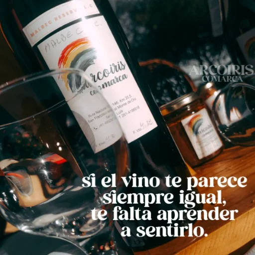 Vino Malbec Roble